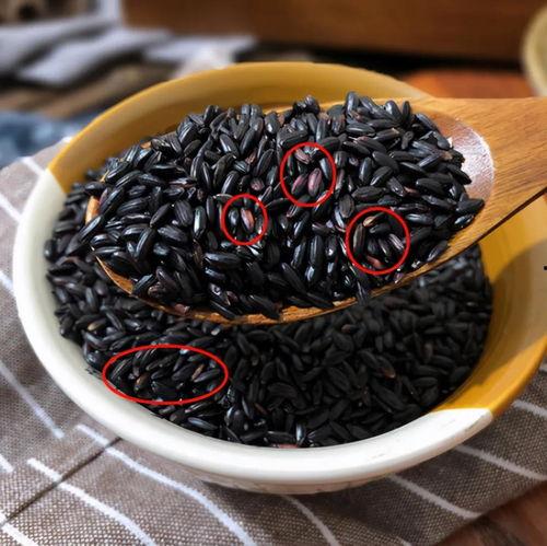 黑料不打料入口,探尋網絡世界的真實與虛假