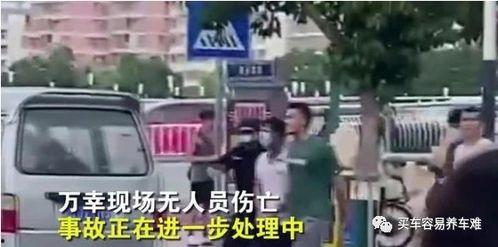 東莞現(xiàn)場實拍爆料事件最新,最新現(xiàn)場事件直擊，真相揭秘！