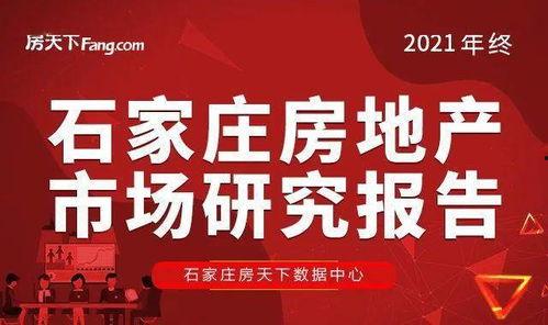 石家莊48中最新爆料,揭秘校園變革與未來展望