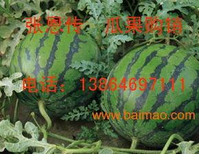 新瓜最新爆料濰坊,揭秘背后驚人真相