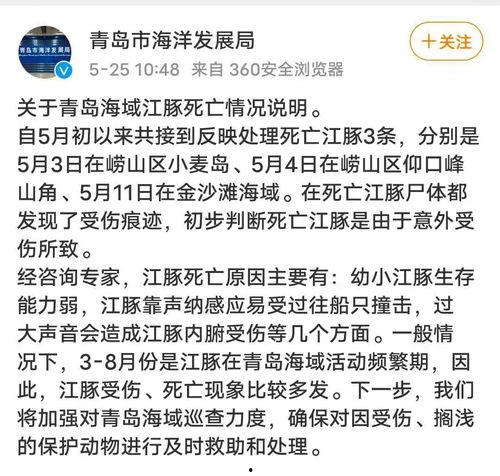 農(nóng)村王先生最新爆料,揭秘農(nóng)村發(fā)展新動向